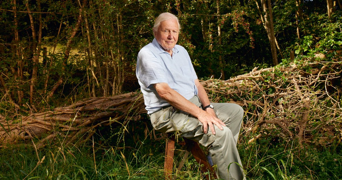 احتفالات ديفيد أتينبورو بمئويته مع عرض جديد