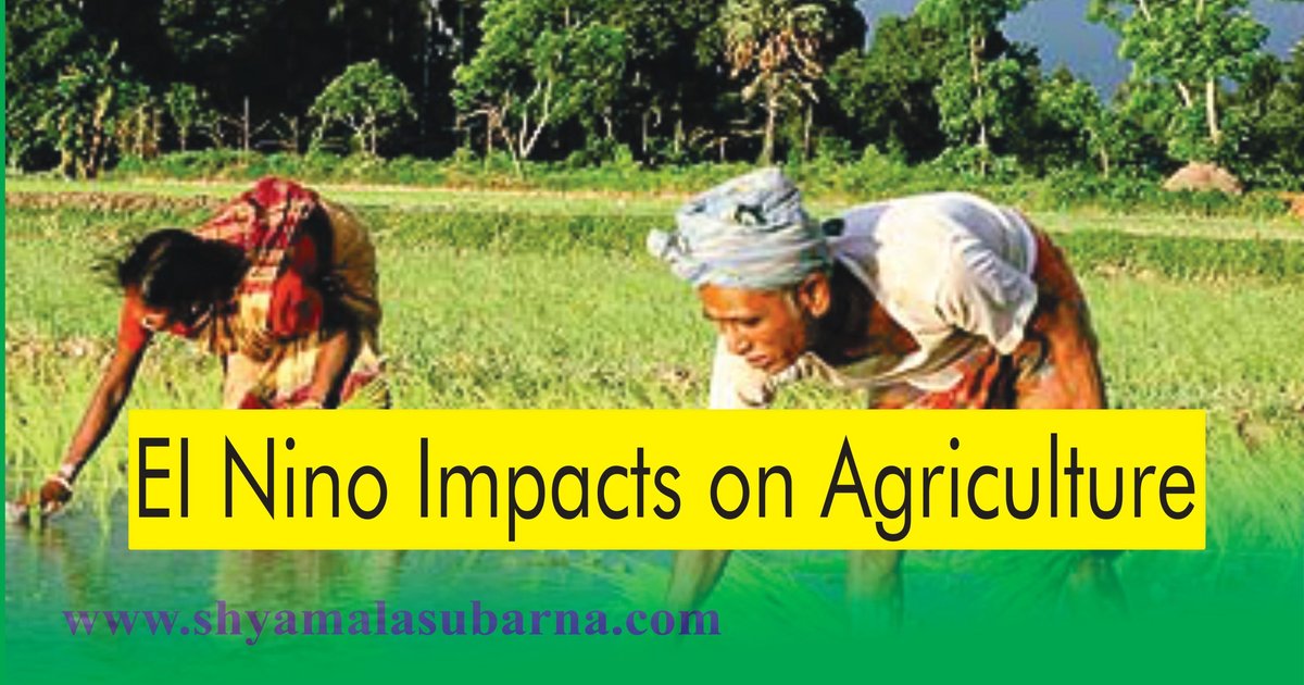 Indonésie avertit d'une crise de l'eau due à El Niño