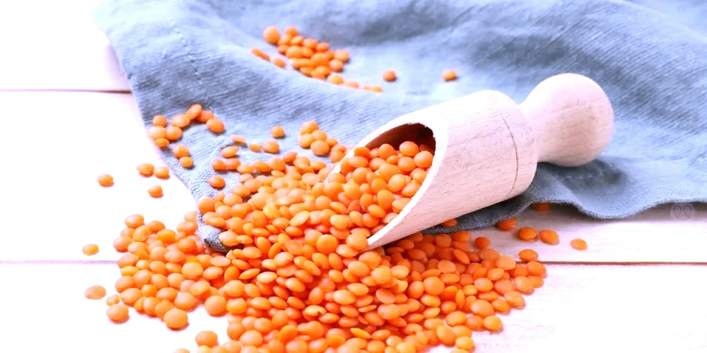 فوائد العدس البرتقالي للصحة العامة