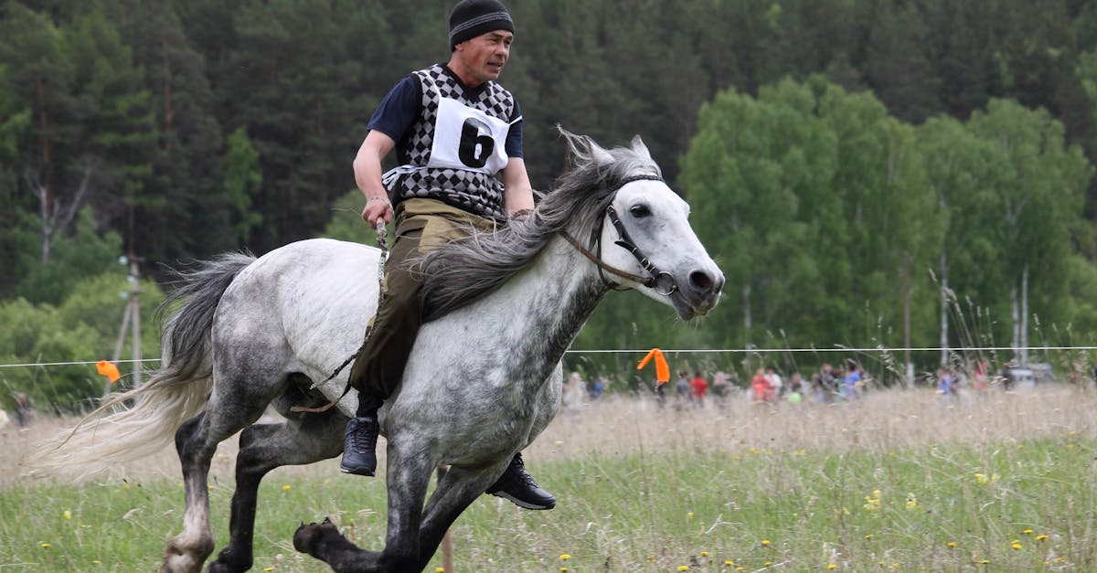 Victoire de Kalendagan au "Dubaï Shaima Classic"