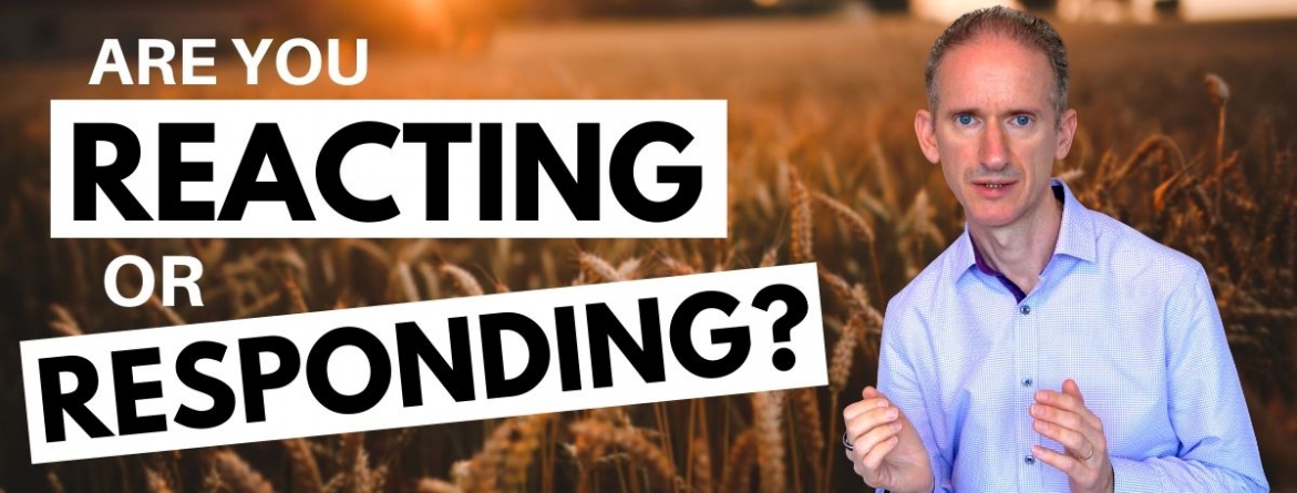 الفرق بين رد الفعل والاستجابة الفعالة