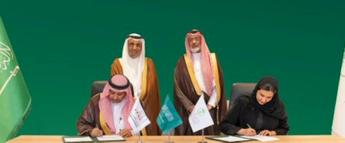 السعودية تطور مواقع تراثية بيئية في الحدائق الوطنية