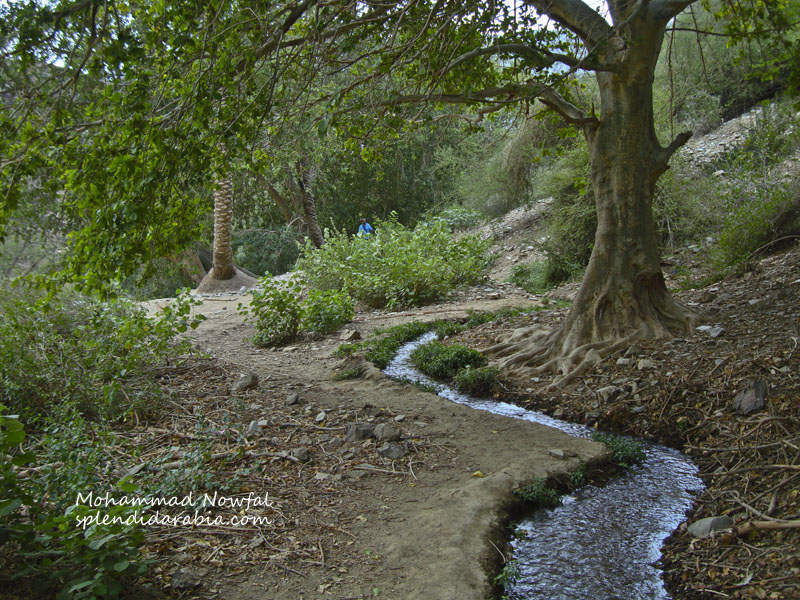 จับกุมผู้ขับขี่มอเตอร์ไซค์ในบาห์