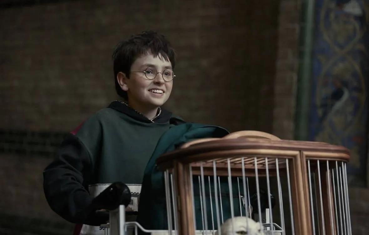 عودة هاري بوتر في مسلسل جديد على HBO