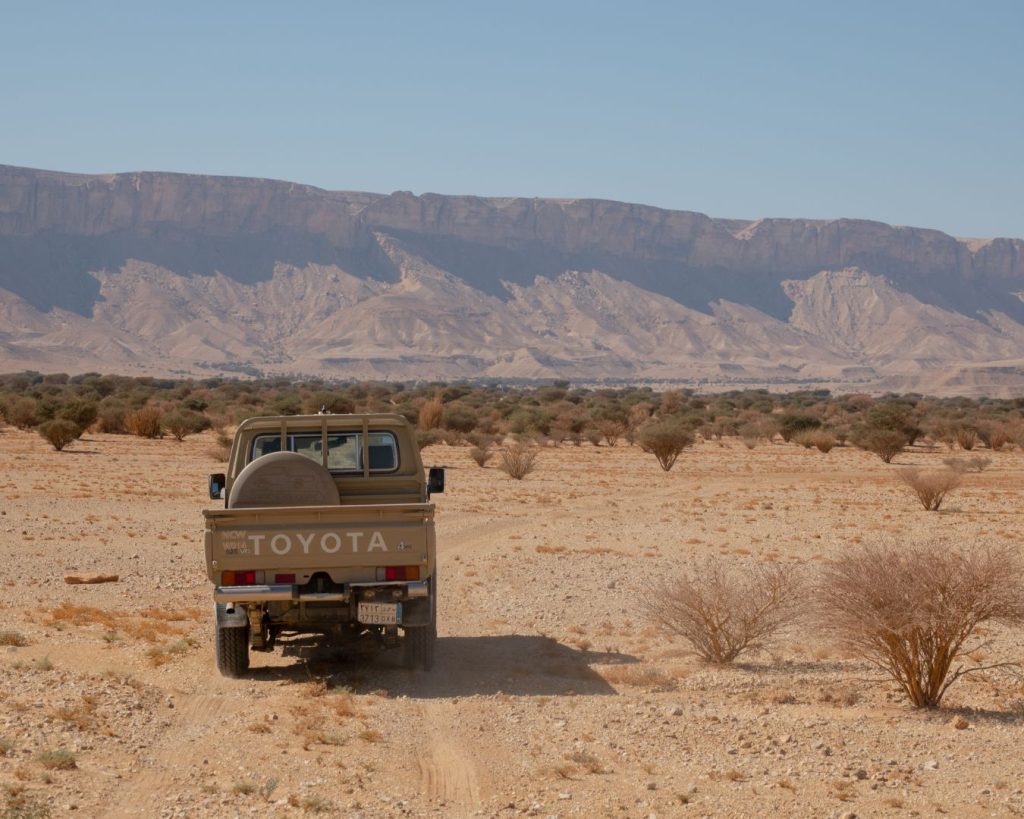 ضبط مخالفات رعي في محمية الإمام عبدالعزيز