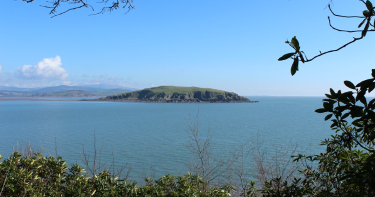 WAM Updates: Latest News and Developments