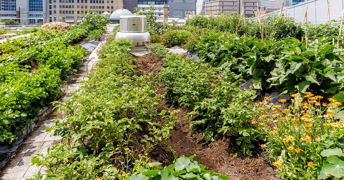 الحدائق الخاصة ودورها في الحفاظ على التنوع البيولوجي