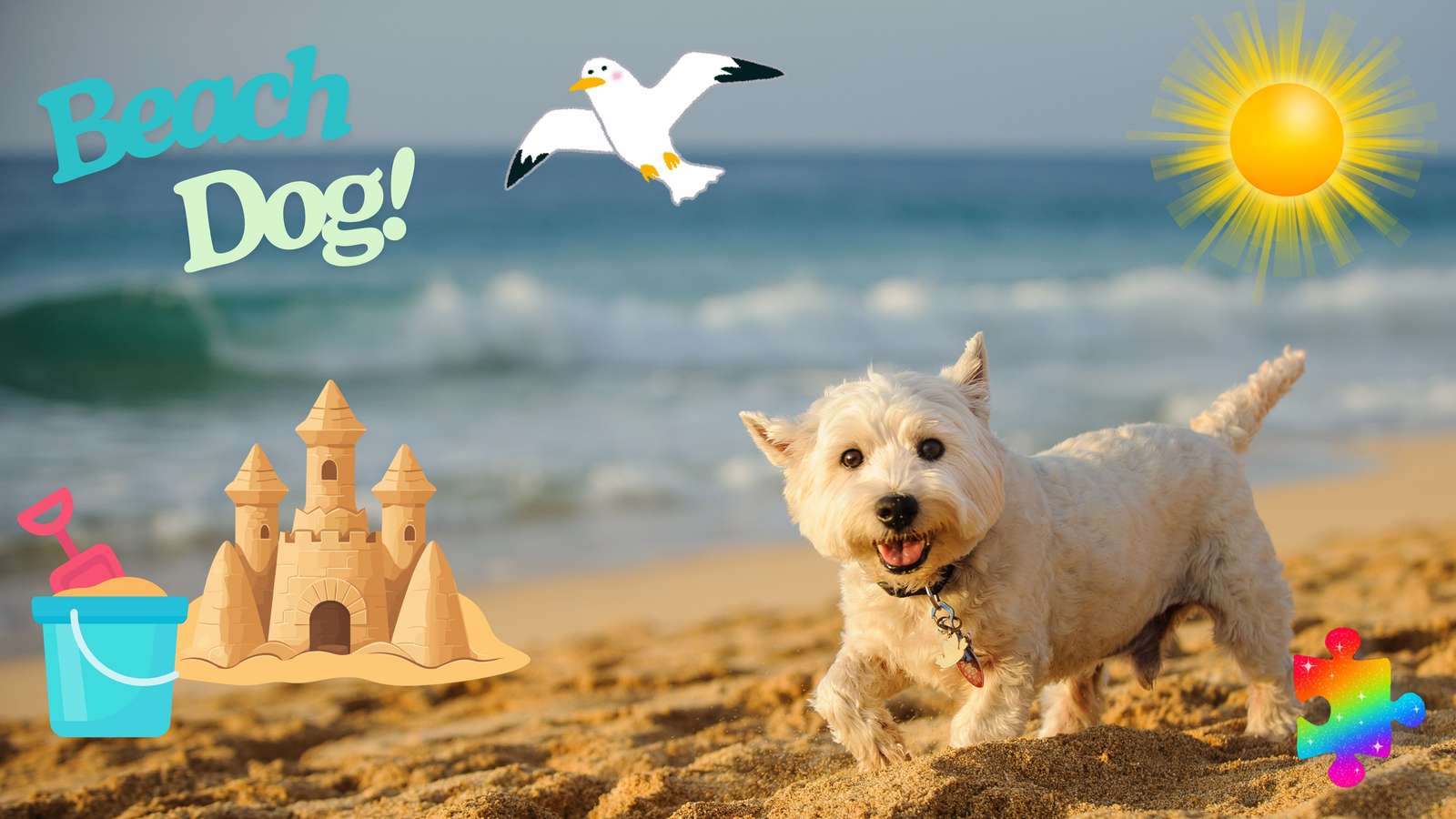 اكتشف الصياد المخفي في لغز الكلب خلال 15 ثانية