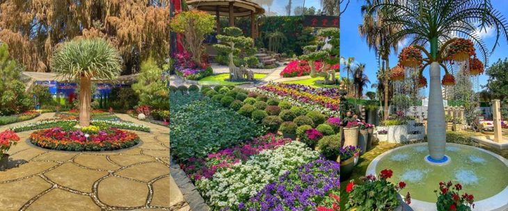 افتتاح معرض زهور الربيع في مصر