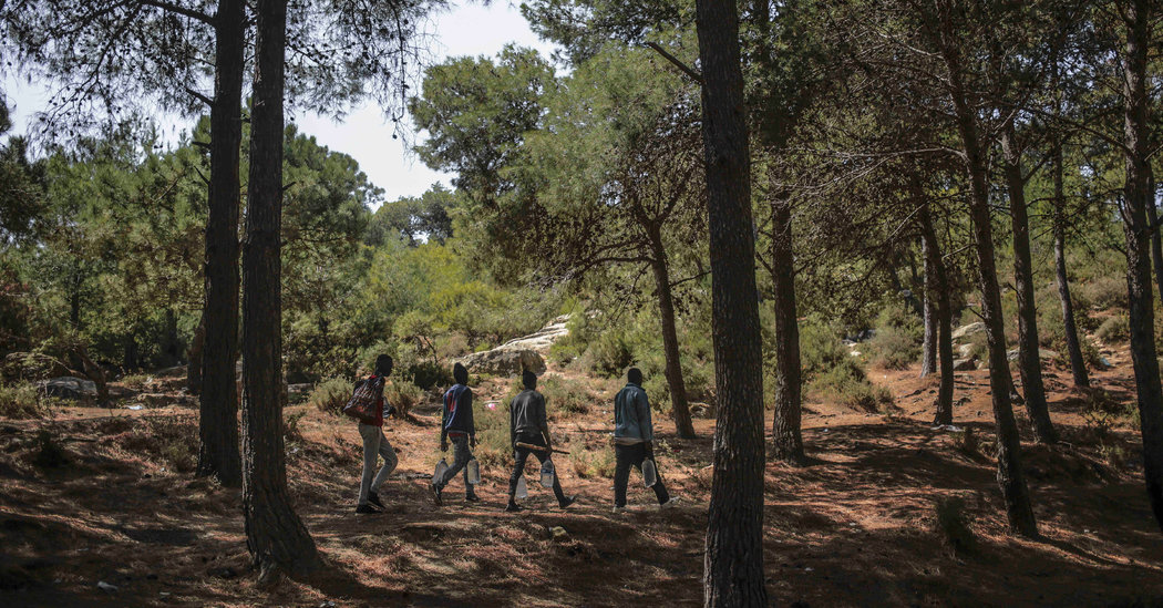 Morocco Thwarts Illegal Migration Attempts in 2025