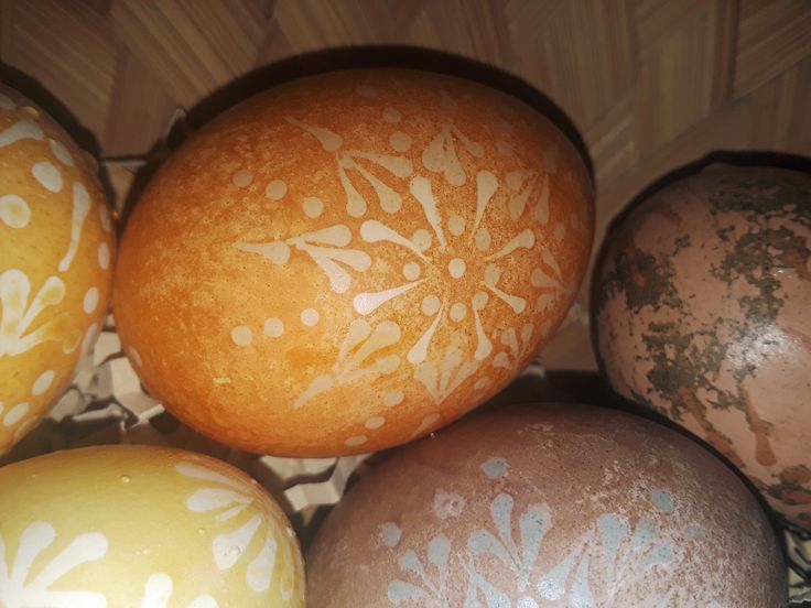 تقليد صمود البيض في الدوري الليتواني لكرة القدم