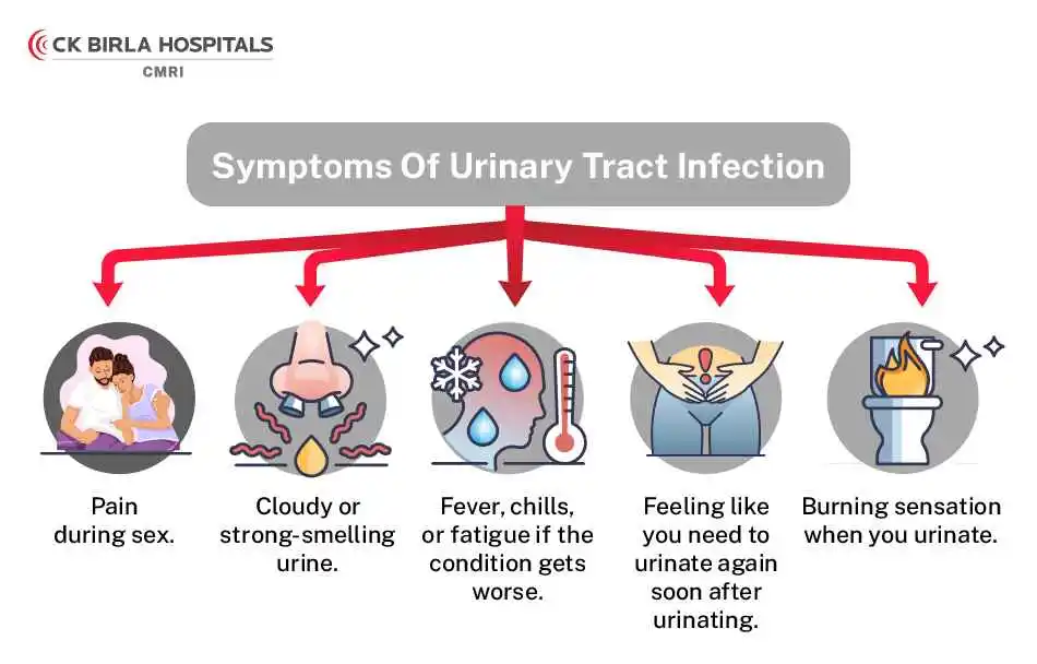 التهاب المسالك البولية: الأسباب والأعراض