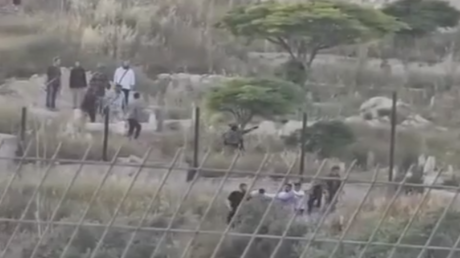 مستوطنون إسرائيليون يجبرون فلسطينيين على نبش قبر في جنين