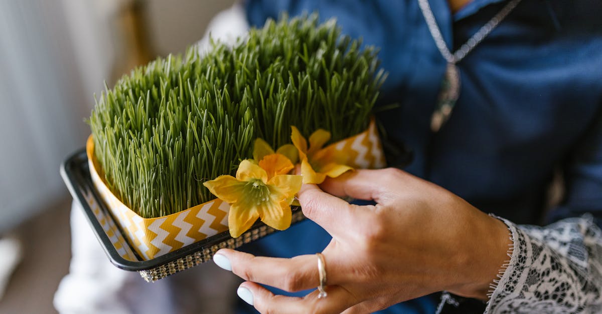 موعد إجازة شم النسيم 2026 للعاملين بالدولة