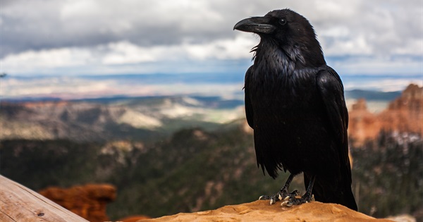 Lancement de la plateforme AdList pour la publicité numérique