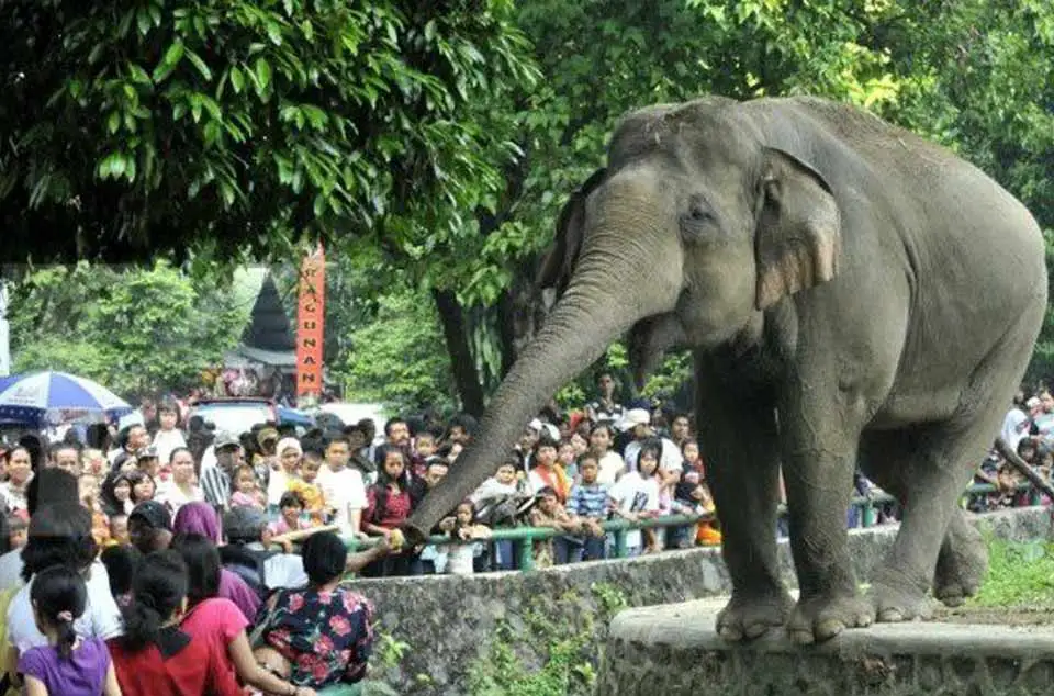 Road Repairs in Jakarta to Improve Driver Safety