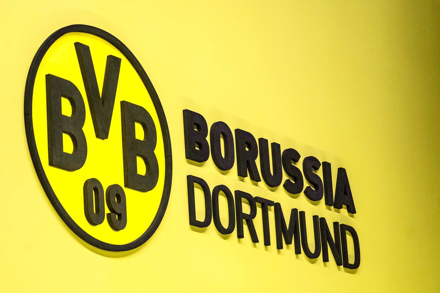 Метелика Амазонії з назвою Борусія Дортмунд