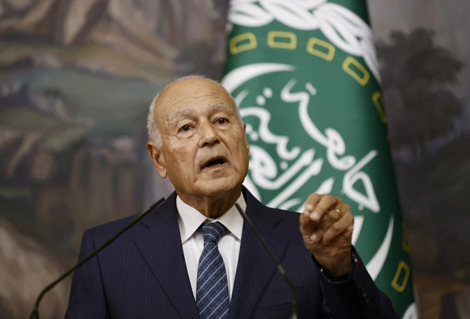 Abu Gheit Condemns Iranian Aggressions Against Arab States