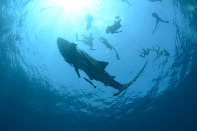 Enhance Sustainable Development in Kaiman, Indonesia