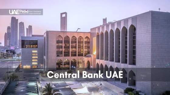 استقرار البنوك الإماراتية ودعم المصرف المركزي