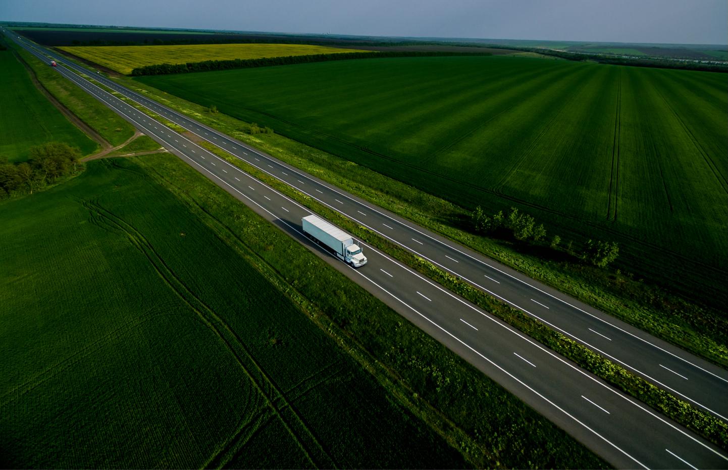 عودة ظباء الجبال إلى كينيا: خطوة تاريخية للحفاظ على الأنواع