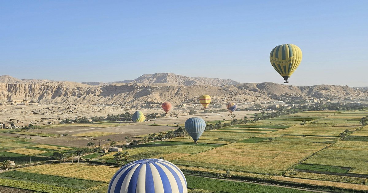 إزالة تعديات الأراضي الزراعية في الشرقية