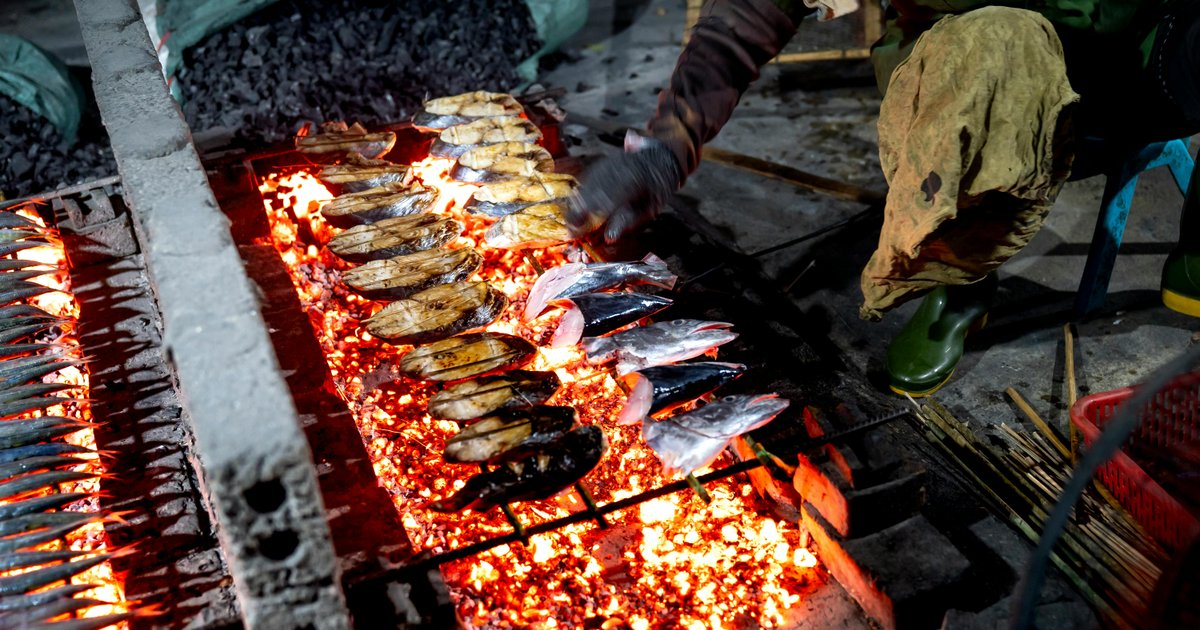 استنزاف الأشجار في العراق: أزمة بيئية متفاقمة