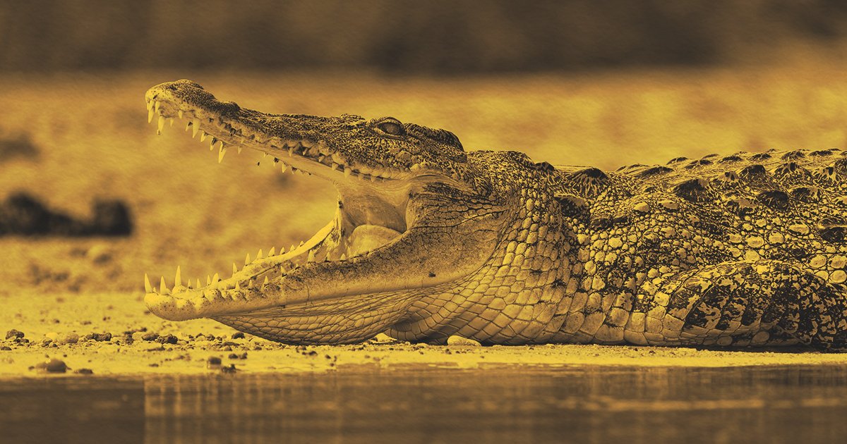 يوسف وزلفى يتحدثان عن فيلم دموع التمساح