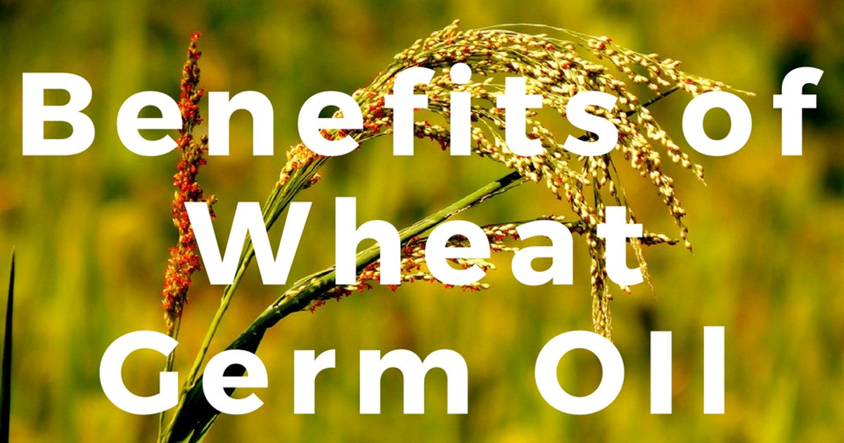 فوائد زيت جنين القمح للبشرة والشعر