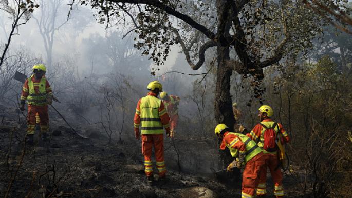 حرائق الغابات في المغرب 2025