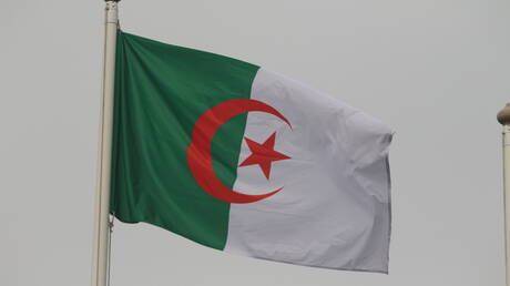 توقعات نمو الاقتصاد الجزائري 2026