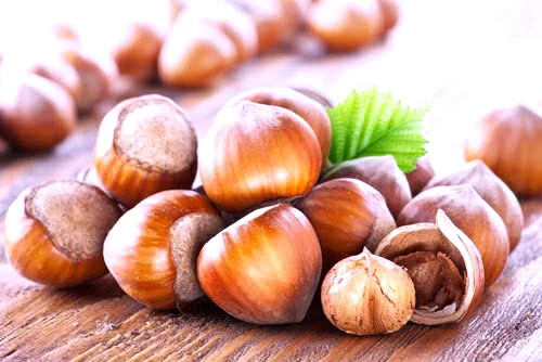 فوائد البندق الصحية وأثرها على الجسم