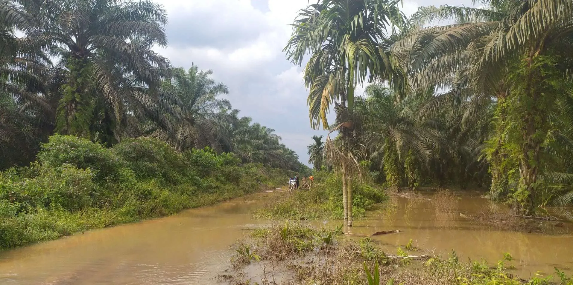 فيضانات سارولانجون بجامبي الإندونيسية