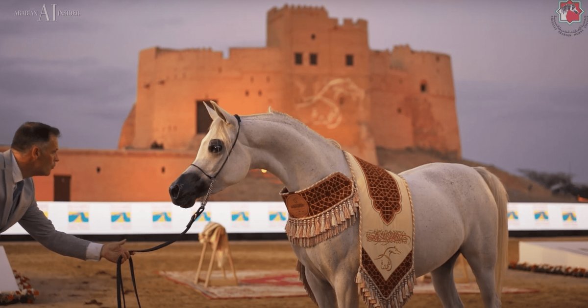 Global UAE Cup for Arabian Horse Beauty 2023