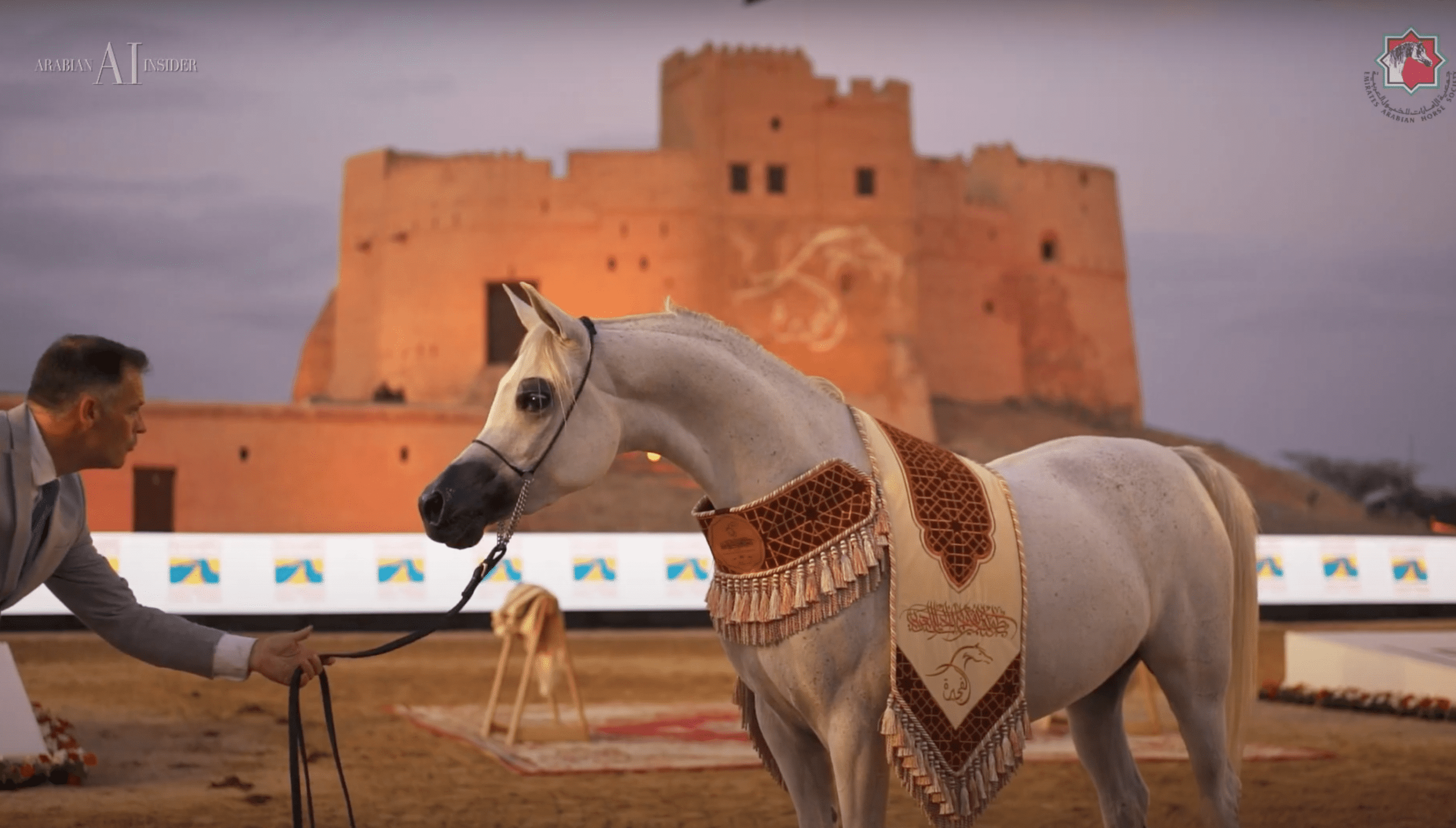 كأس الإمارات العالمي لجمال الخيل العربية 2023