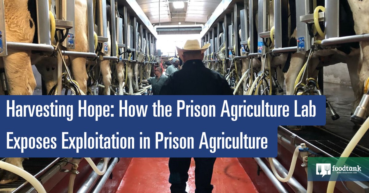 Agricultural Land Program in Indonesia to Boost Food Security