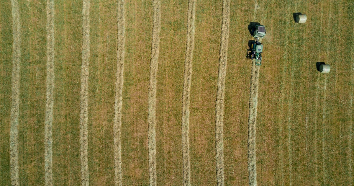 Élimination des occupations des terres agricoles à Louxor