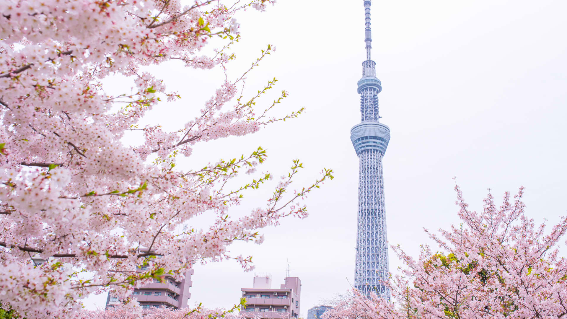 ارتفاع الأسواق الآسيوية مع آمال إعادة فتح مضيق هرمز