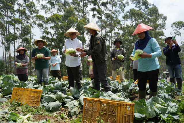 Coopération entre grandes et petites coopératives en Indonésie