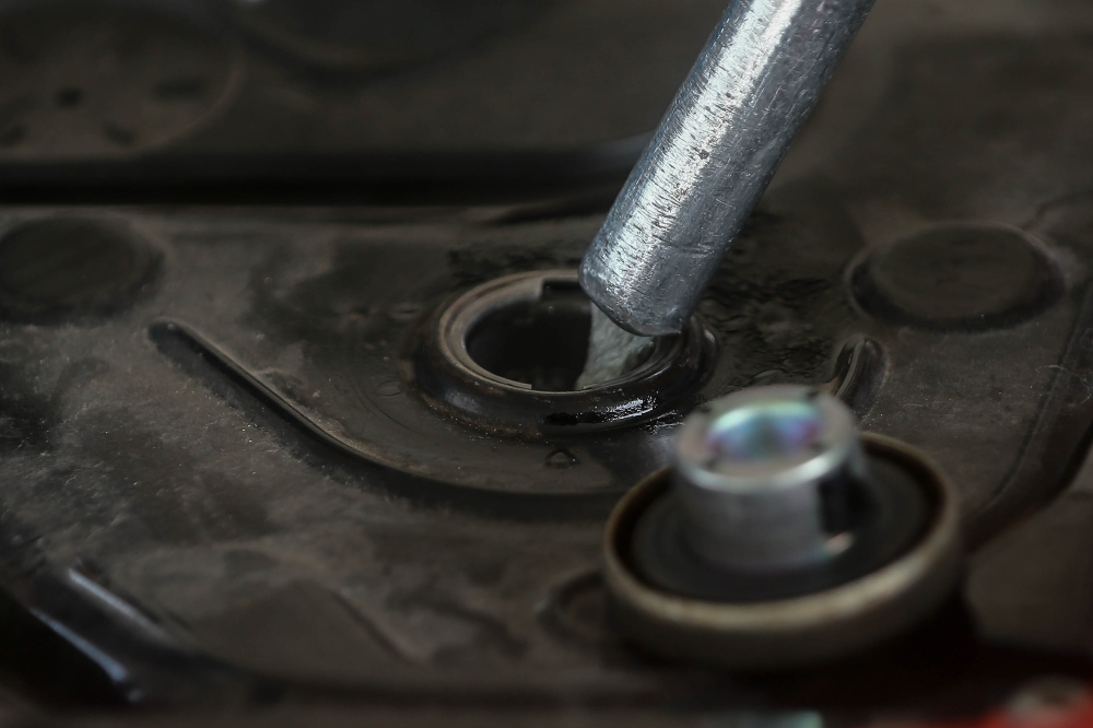 Renforcement de la sécurité alimentaire en Malaisie