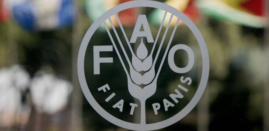 ارتفاع أسعار الأسمدة وتأثيره على الاقتصاد العالمي