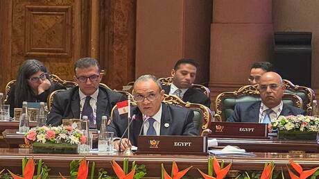 مصر تؤكد من "بريكس" سعيها لرفع الظلم عن أفريقيا