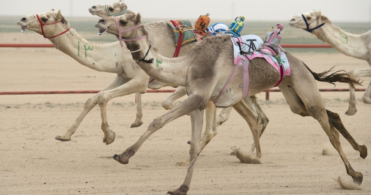 أبرز الأحداث الرياضية في العالم العربي