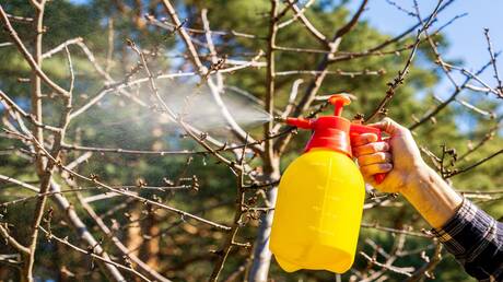 Link Between Pesticides and Cancer: New Study Reveals Risks