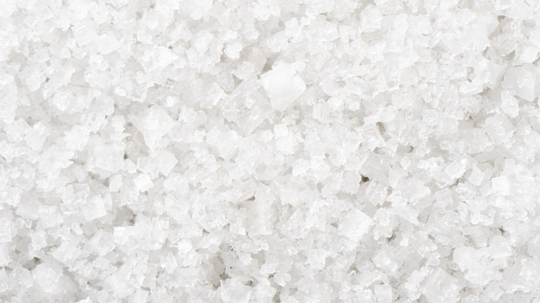 Préparez facilement la bssaria à la maison avant Chams el-Nessim