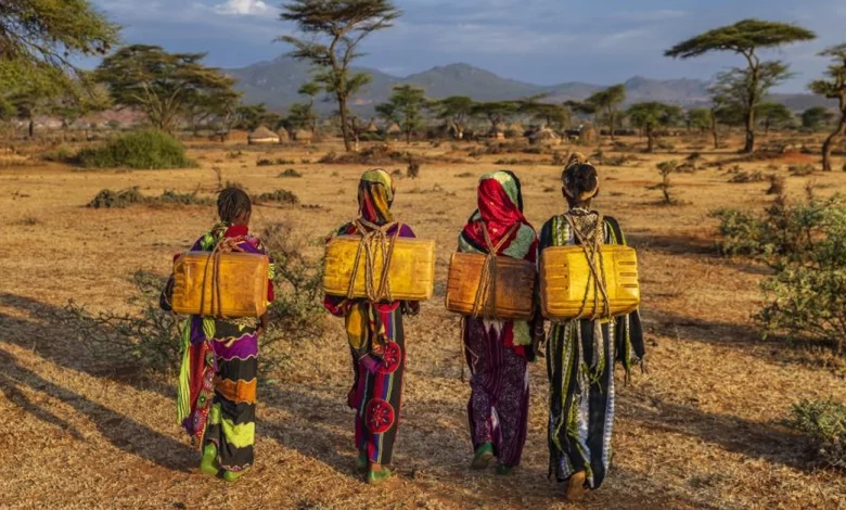 إندونيسيا تعزز الأمن الغذائي لمواجهة التحديات العالمية