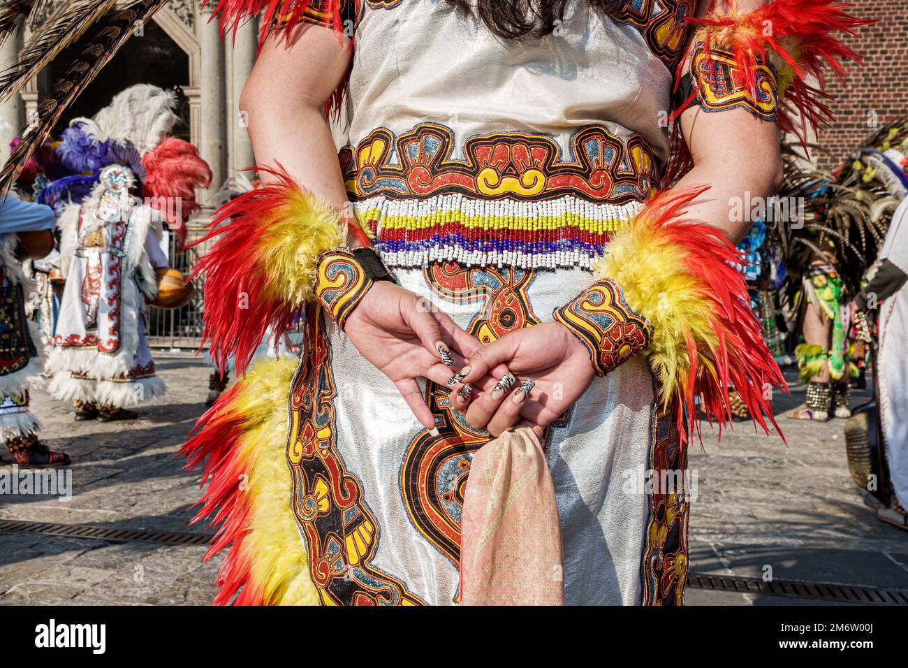 Rassemblement des vendeurs d'oiseaux au Mexique
