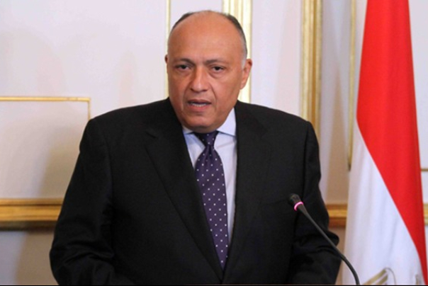 Meeting of Egyptian Foreign Minister and Head of Information Authority