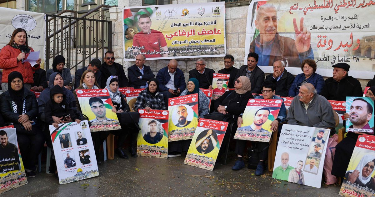 Al-Azhar Condemns Legitimization of Killing Palestinian Prisoners