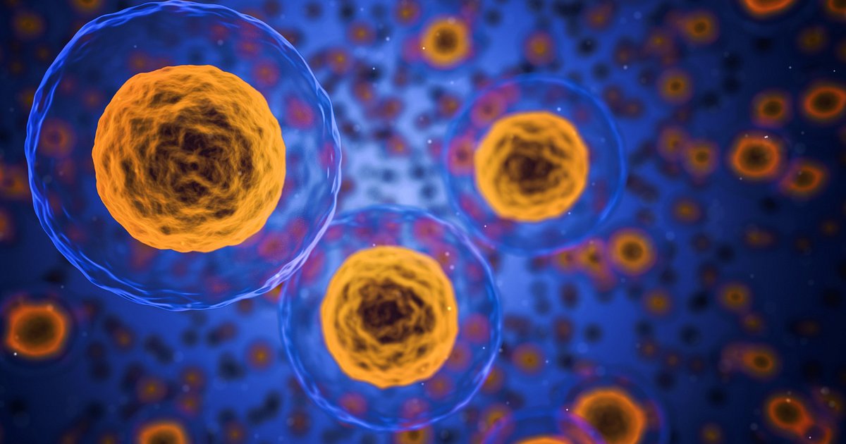 اكتشاف خلايا ضفدع تتحول إلى كائنات تفكر